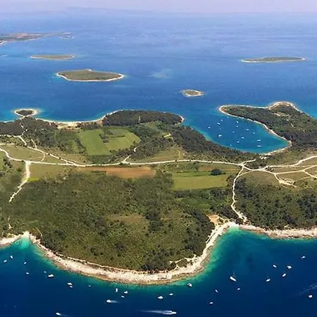 And Spacious Apartment- Silvio 2