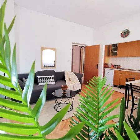 And Spacious Apartment- Silvio 2