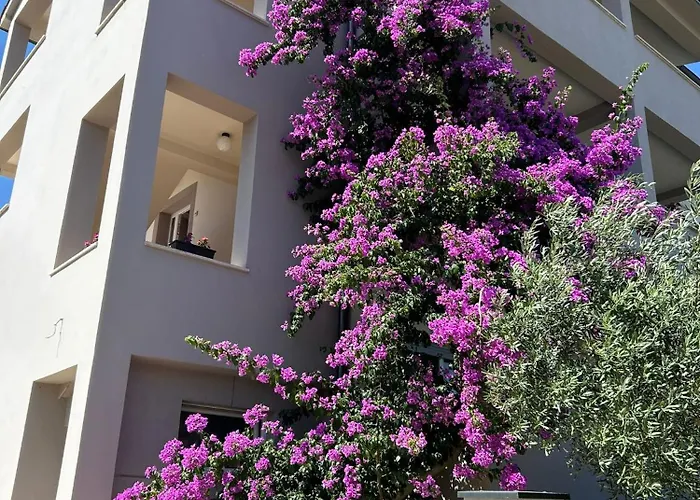 Lejlighed And Spacious Apartment- Silvio 2 *