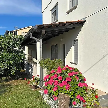 And Spacious Apartment- Silvio 2 * Банджоле
