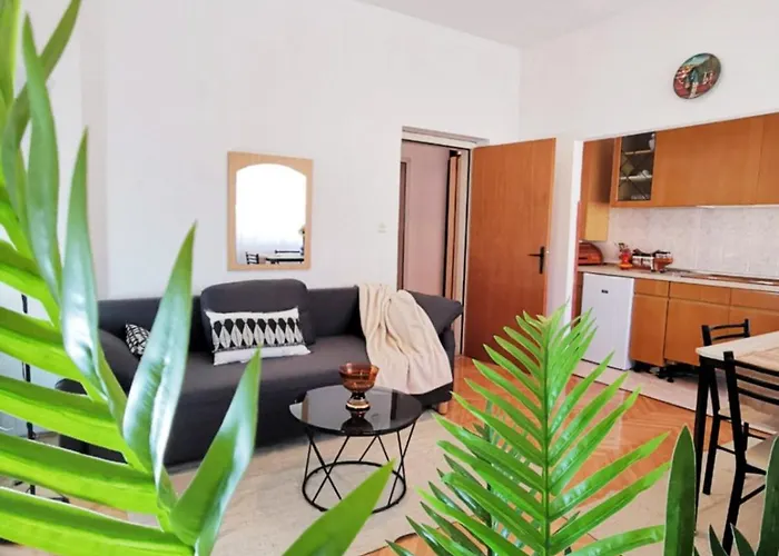 And Spacious Apartment- Silvio 2